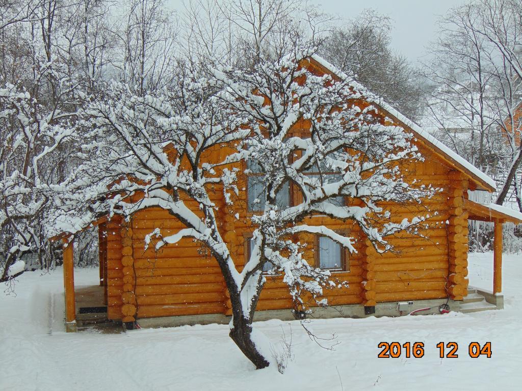 Casutele Din Moisei Hotel Buitenkant foto