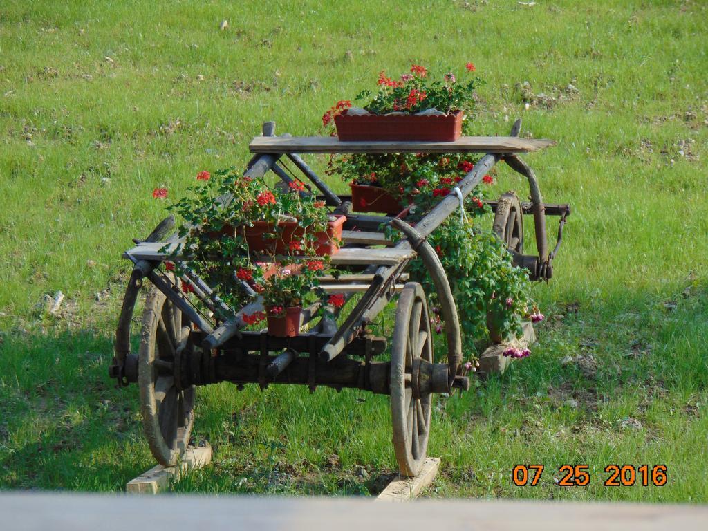 Casutele Din Moisei Hotel Buitenkant foto