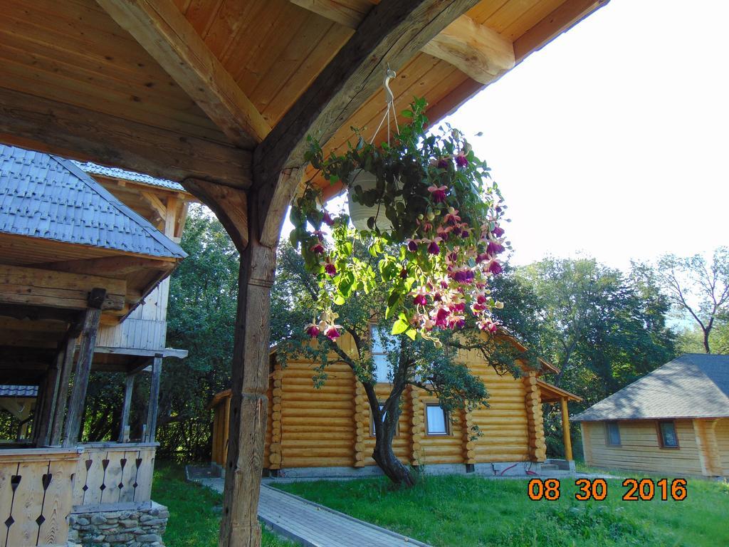 Casutele Din Moisei Hotel Buitenkant foto