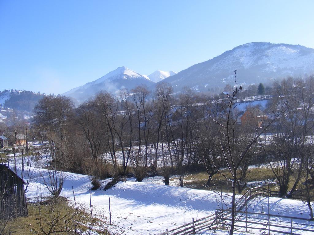 Casutele Din Moisei Hotel Buitenkant foto