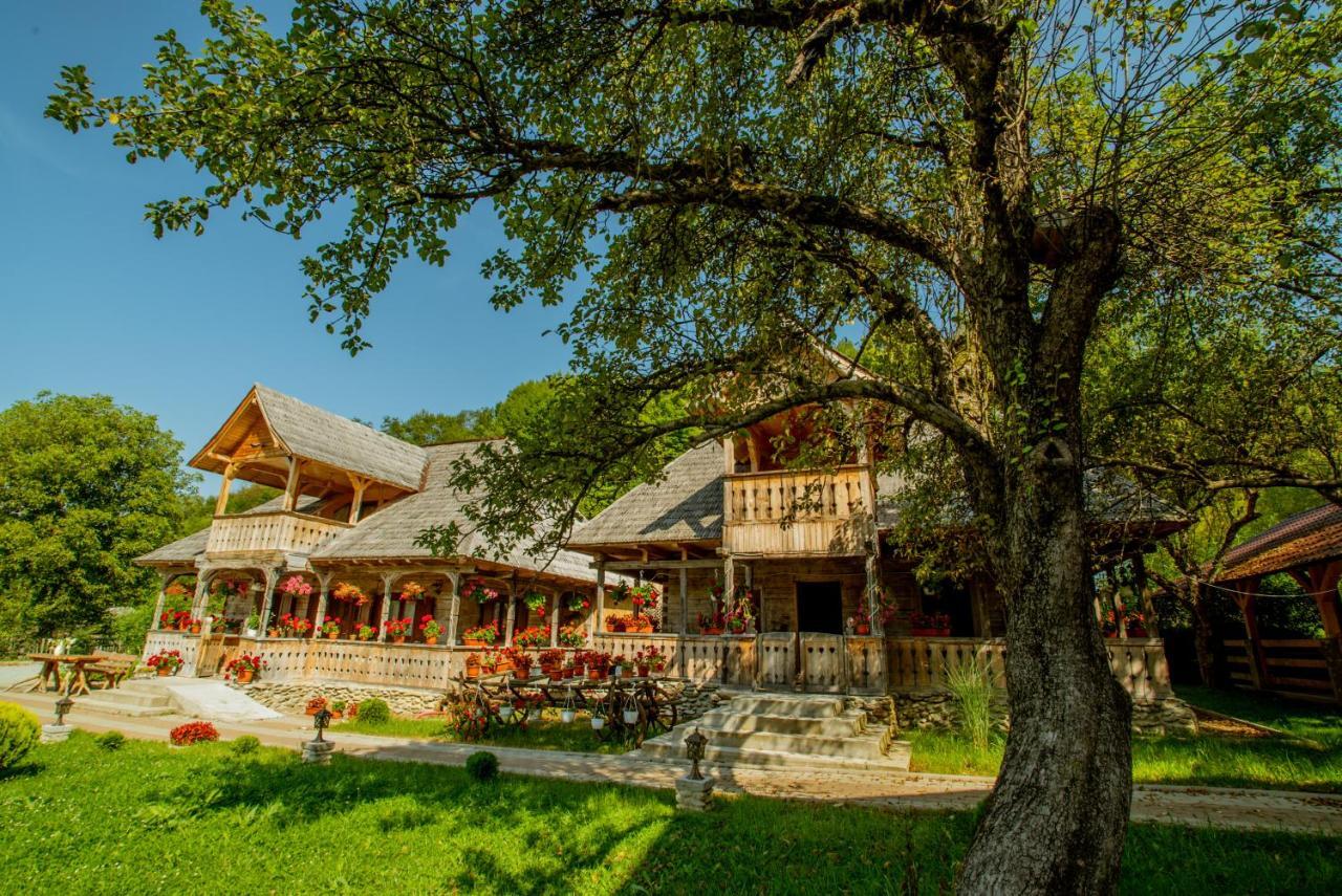 Casutele Din Moisei Hotel Buitenkant foto