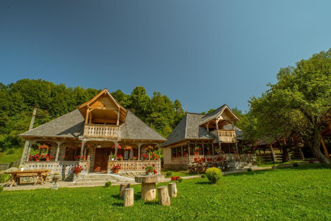 Casutele Din Moisei Hotel Buitenkant foto